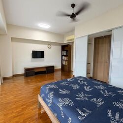 Begonia Drive (D28), Terrace #486044151